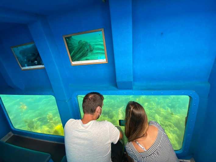 Sesimbra: Family Friendly Boat Sea Tour w/ Submarine Vision - Professor Luiz Saldanha Marine Park, and Why It Changes What You See