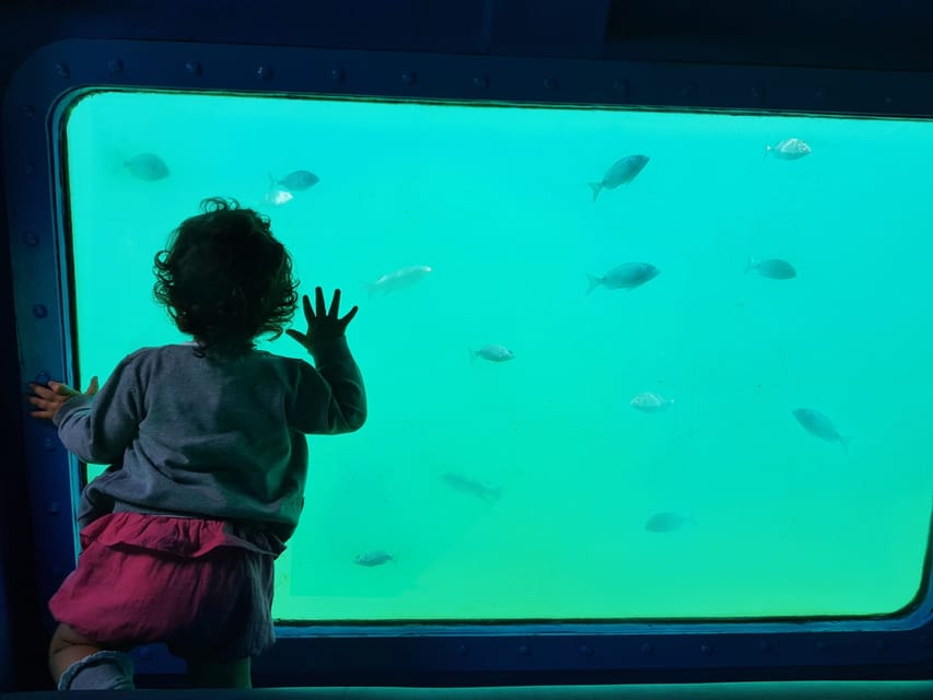 Sesimbra: Family Friendly Boat Sea Tour w/ Submarine Vision - Rules You Should Know Before You Board