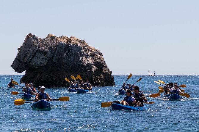 Sesimbra : Guided Kayak Tour in Arrábida Natural Park & Caves - Getting started at Our Roots in Sesimbra