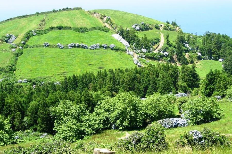 Sete Cidades Azores 4x4 Day Tour from Ponta Delgada - Vista do Rei viewpoint: how to make the most of short photo time