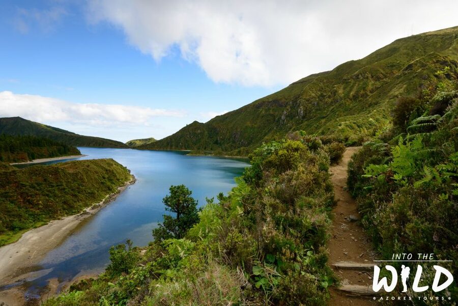 Sete Cidades & Lagoa do Fogo - Full-Day Tour - Key highlights worth planning around