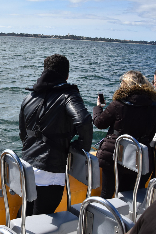 Setúbal and Tróia: Dolphin Watching and Arrábida Bays - Why the boat setup makes a real difference