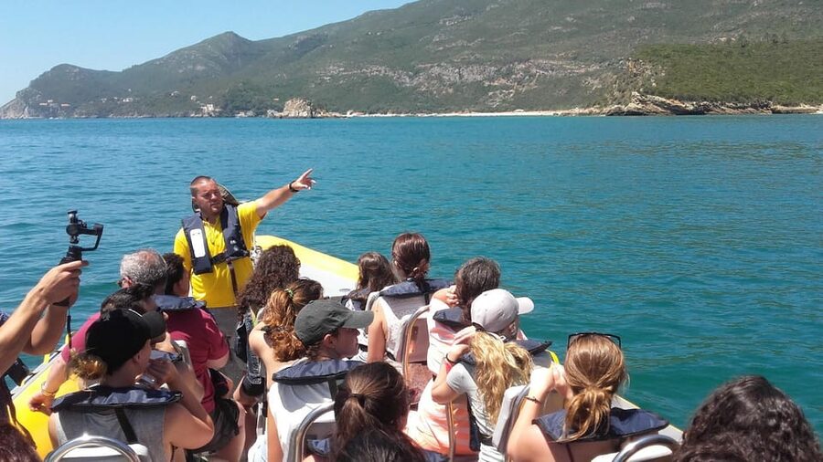 Setúbal and Tróia: Dolphin Watching and Arrábida Bays - How long it really feels, and what to expect from the dolphin hunt