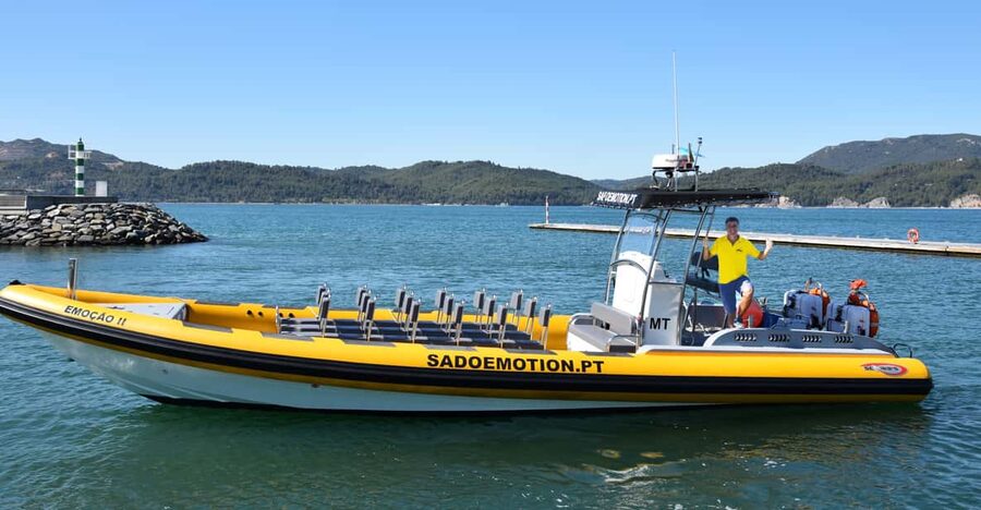 Setúbal and Tróia: Dolphin Watching and Arrábida Bays - Price and value: what $53 covers
