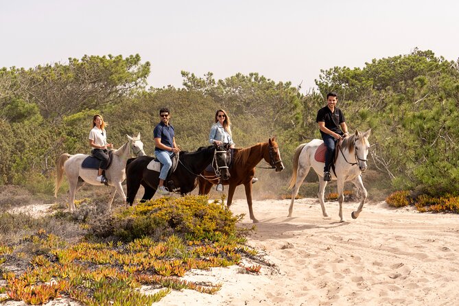 Setubal & Comporta Trip with Horseback Riding from Lisbon - Why Setúbal and Comporta Work So Well from Lisbon