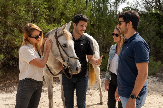 Setubal & Comporta Trip with Horseback Riding from Lisbon - Setúbal Morning: A Walking Tour Built Around Portuguese Food Culture