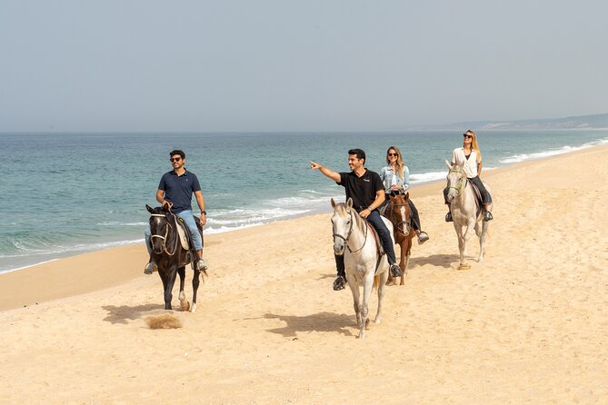 Setubal & Comporta Trip with Horseback Riding from Lisbon - Meeting at Hotel Fénix and the Real Pacing of the Day