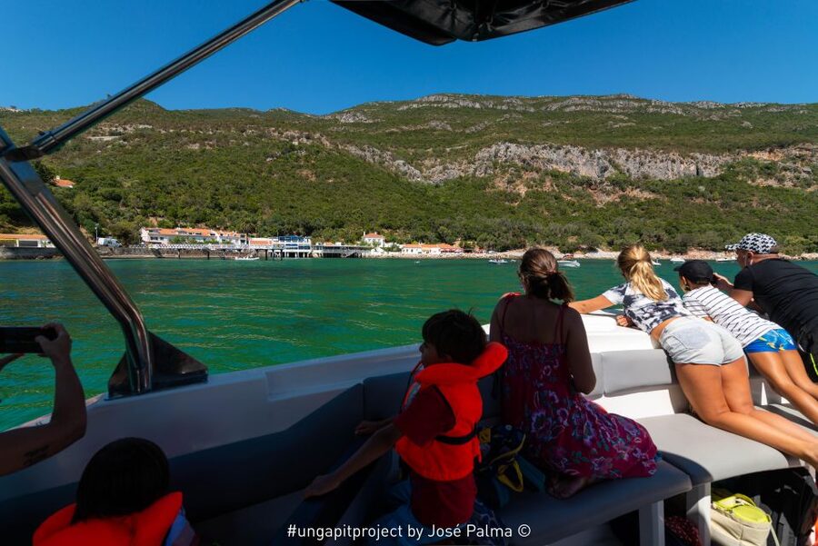 Setúbal: Dolphin Watching Boat Tour - Setúbal Bay dolphin watching, with Arrábida views attached