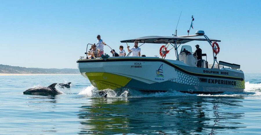 Setúbal: Dolphin Watching Boat Tour - How dolphin searching actually works in the bay