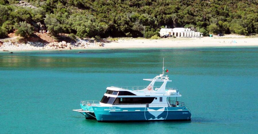 Setúbal: Dolphin Watching Tour - Moscatel Welcome and the Guide’s Start Line