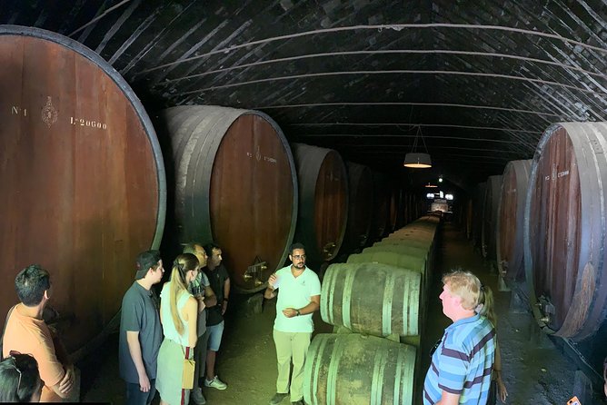 Setúbal Wine Tour with Visit and Tasting at 2 Wineries - Stop 4, Farm Catralvos: the flexible farm stop that can change the vibe