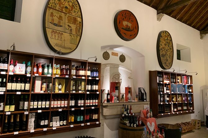 Setúbal Wine Tour with Visit and Tasting at 2 Wineries - The kind of guide that can make or break your day