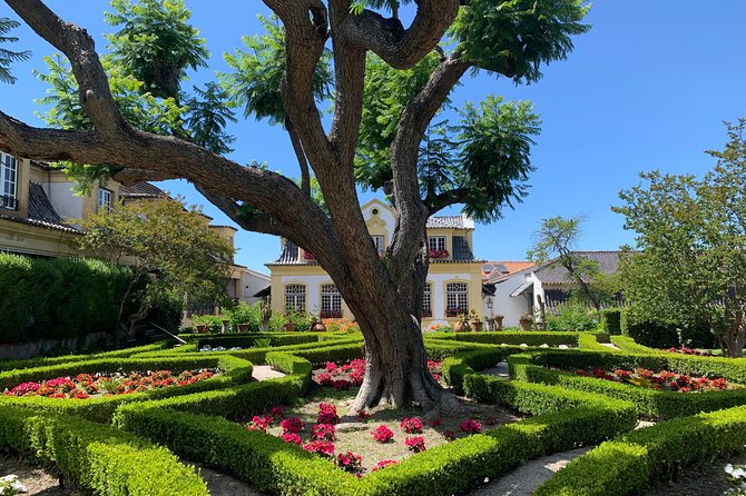 Setúbal Wine Tour with Visit and Tasting at 2 Wineries - Stop 1, Jose Maria de Fonseca: tradition since 1834, updated for today