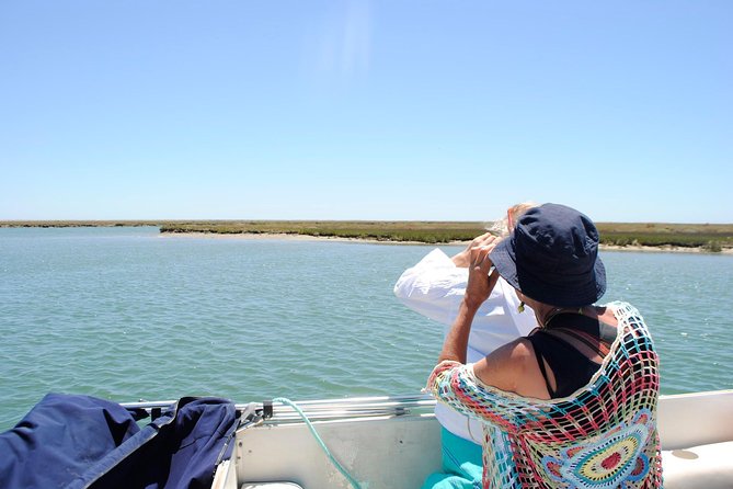 Short boat trip of the Algarve's Ria Formosa lagoon from Faro: 1 hour - On Board the Private Catamaran: Live English Commentary That Makes Wildlife Click