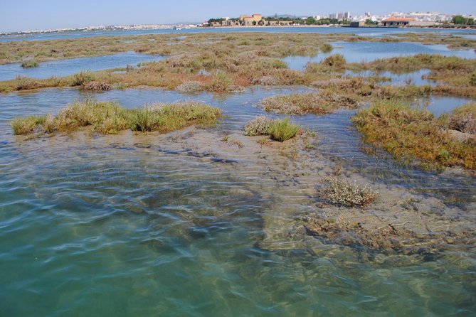 Short boat trip of the Algarve's Ria Formosa lagoon from Faro: 1 hour - The Best Part: Faro Old Town Views at the End