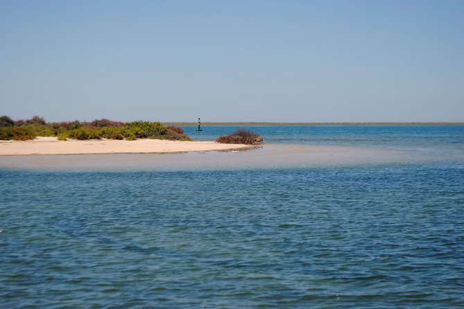 Short boat trip of the Algarve's Ria Formosa lagoon from Faro: 1 hour - Price and Value for a Small-Group 1-Hour Ride