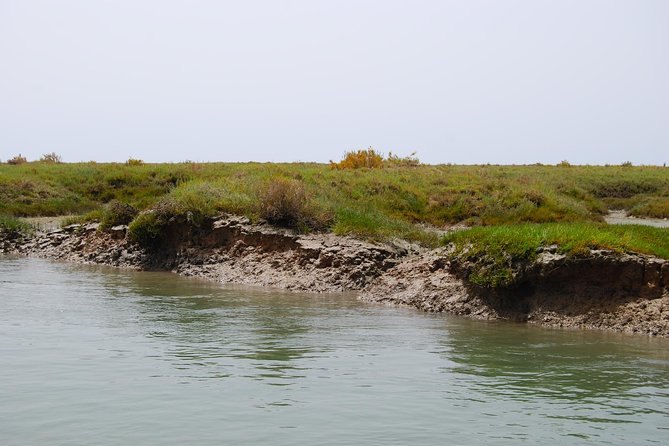 Short boat trip of the Algarve's Ria Formosa lagoon from Faro: 1 hour - Who This Tour Suits Best (And Who Might Want Something Longer)