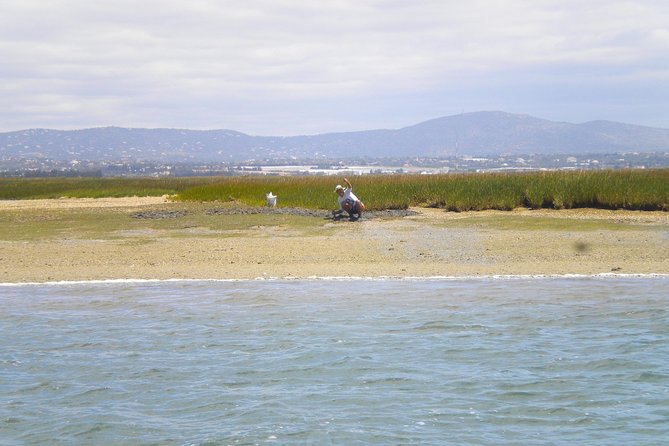 Short boat trip of the Algarve's Ria Formosa lagoon from Faro: 1 hour - Booking Advice for a Smooth Day in Faro