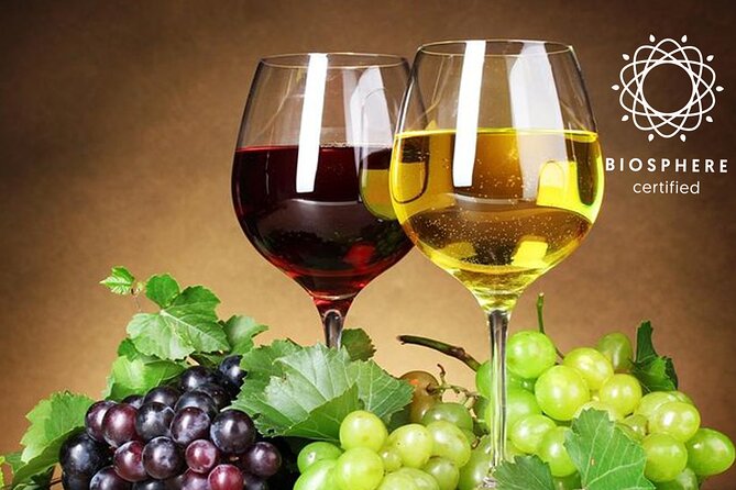 Signature Wine Tastings, Skywalk, Nature 4x4 Open Roof Expedition - Open-roof 4x4 plus Madeira wine: what this day is really like