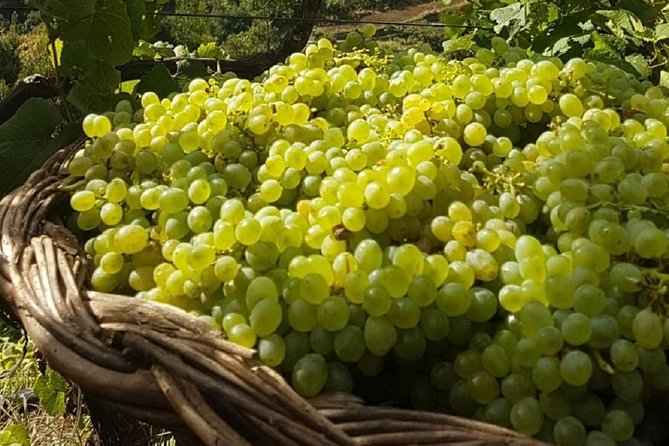 Signature Wine Tastings, Skywalk, Nature 4x4 Open Roof Expedition - Driving details that matter: open-top comfort and real island roads