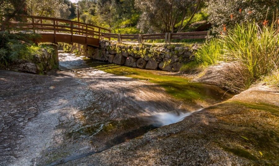 Silves, Caldas and Monchique Wine Tasting: Full Day Tour - Key highlights you’ll actually feel in your day