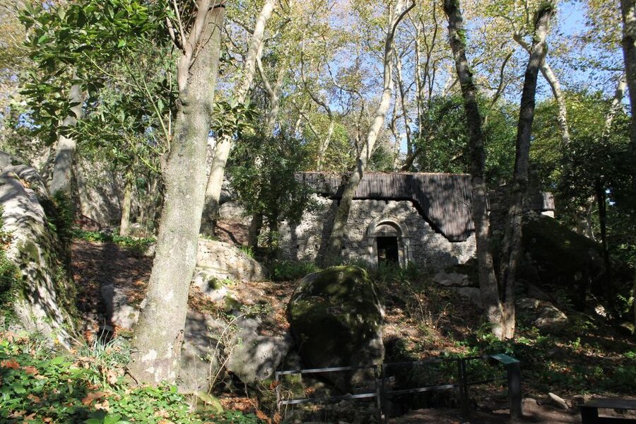 Sintra and Cascais: Full-Day Private Sightseeing Tour - Cascais: From Fishing Village to Easygoing Sea City