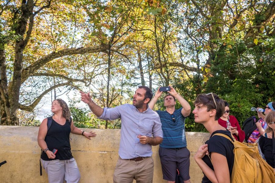 Sintra and Cascais Small Group Tour from Lisbon - Cascais: old fishing village turned refined seaside