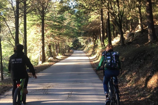 Sintra & Cascais e-bike Guided Tour - Colares and Penedo: the park stretch where you feel the outdoors