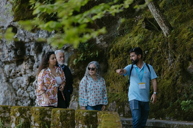 Sintra, Pena Palace and Quinta da Regaleira from Lisbon - Guides and Group Size: Why Your Day Can Feel Different Depending on the Driver and Guide