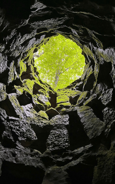 Sintra: Quinta da Regaleira Entry Tickets with Host - A map in your hand, and how to use it without overthinking
