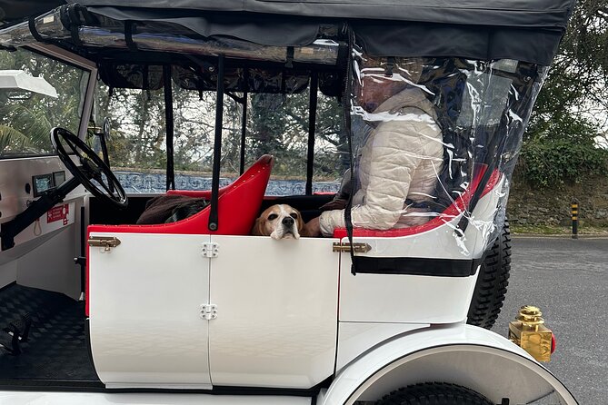 Sintra Tour by Electric Tuk Tuk - Cabo da Roca: the most western point of Europe