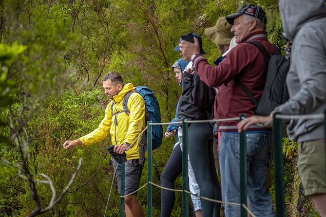 Skywalk 4x4 Experience and Rabacal 25 Fountains Levada Walk - The 4x4 Jeep Segment: Adventure Plus Wildlife Chances