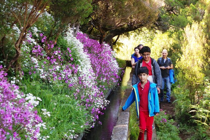 Skywalk 4x4 Experience and Rabacal 25 Fountains Levada Walk - Food, Budget, and Lunch Stops on Madeira
