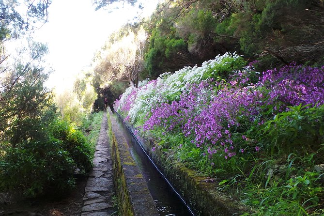 Skywalk 4x4 Experience and Rabacal 25 Fountains Levada Walk - Price and Logistics: Is $41 a Smart Deal?