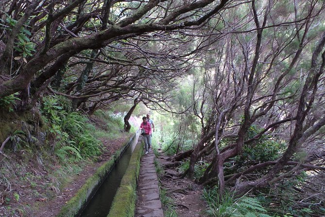 Skywalk 4x4 Experience and Rabacal 25 Fountains Levada Walk - Practical Tips You’ll Thank Yourself For