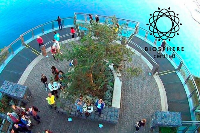 Skywalk, Amazing Views & Wine Tasting in Open Roof 4x4 Adventure - Riding Madeira’s steep roads toward Cabo Girão