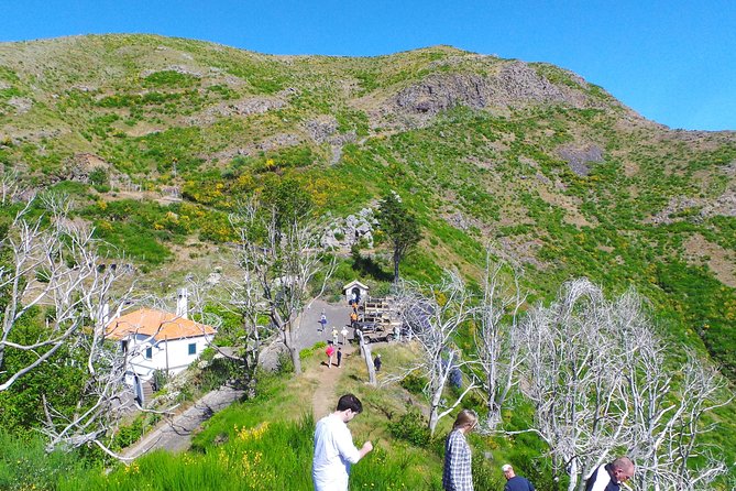 Skywalk, Amazing Views & Wine Tasting in Open Roof 4x4 Adventure - Poncha stop and Madeira tasting that actually breaks up the ride