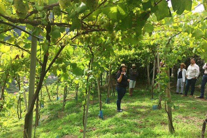Skywalk with Wines Tasting and Vineyards Half day 4x4 Adventure - Pickup and the 4x4 drive: where the real fun starts