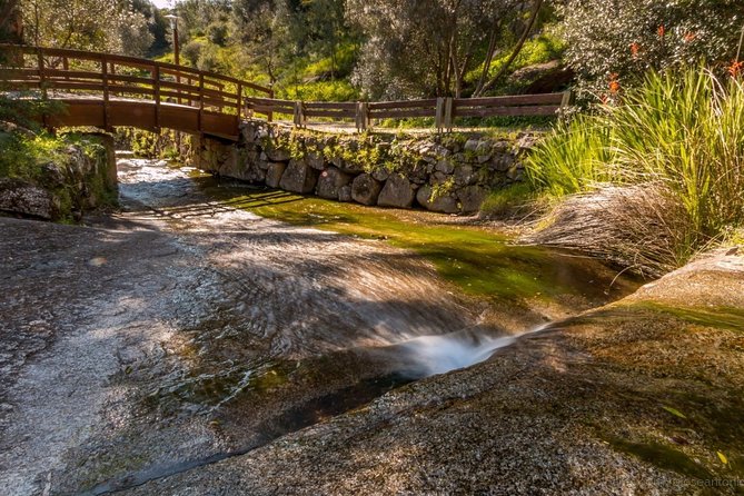 Small-Group Day Tour of Silves and Monchique with Wine Tasting - Price and Logistics: Does $107.63 Really Make Sense?