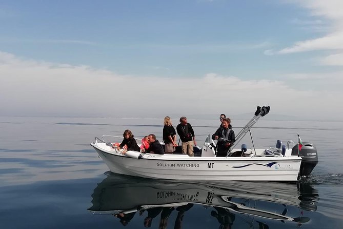Small Group Dolphin and Wildlife Watching Tour in Faro - Key things to know before you go