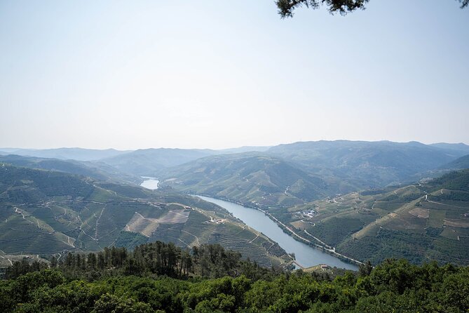 Small Group Douro Valley Wine Tour with Lunch and Cruise - Cruising Pinhão for real Douro river views