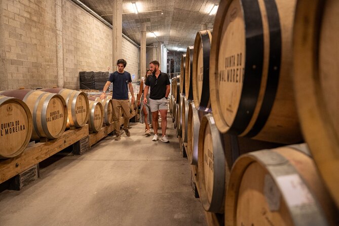 Small Group Douro Valley Wine Tour with Lunch and Cruise - Price and value: what $119.42 buys you