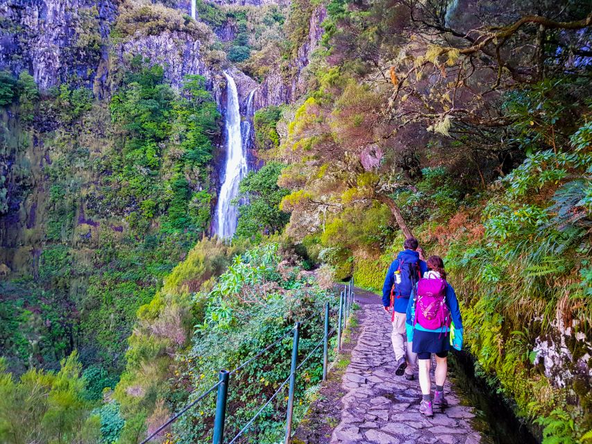 Small Group Walks Rabaçal 25 Fontes - Key Highlights You Should Not Skip
