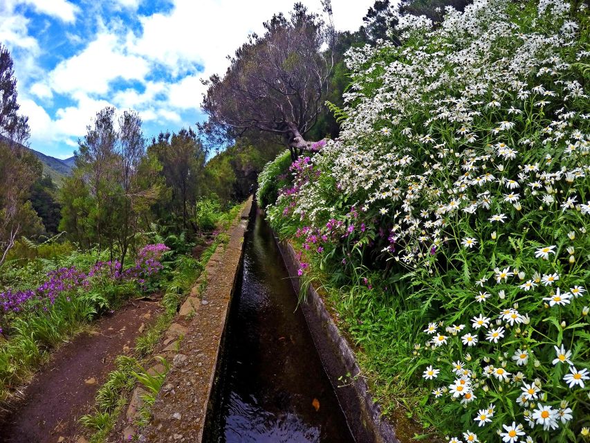 Small Group Walks Rabaçal 25 Fontes - Who Should Book This Walk, and Who Might Want a Different Style