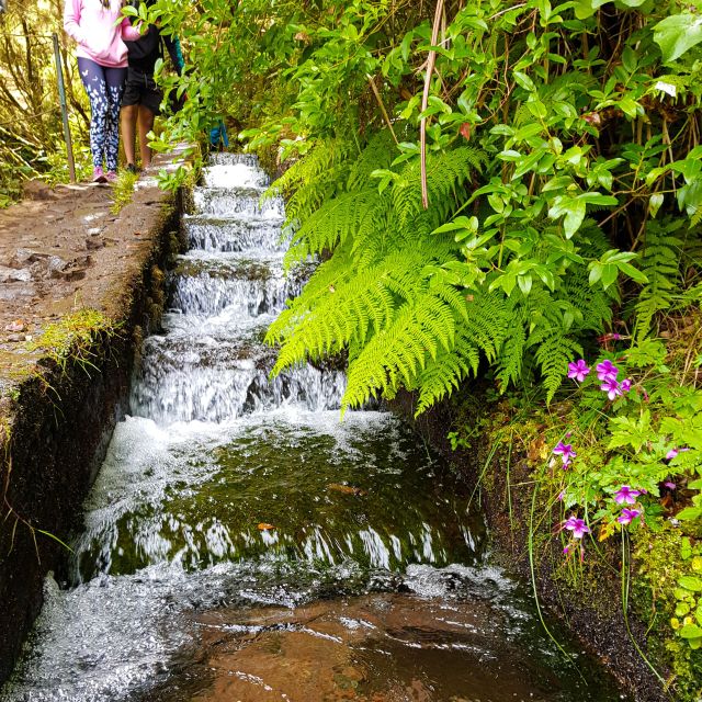 Small Group Walks Rabaçal 25 Fontes - From the Start: What This 4-Hour Walk Really Gives You