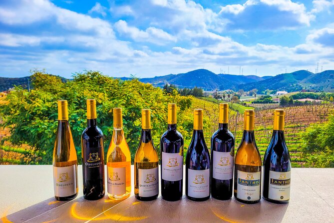 Small group Wine Tasting Tour from Lagos - A short, smart half-day plan from Lagos