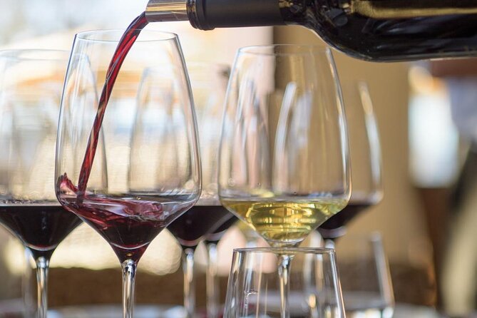 Small group Wine Tasting Tour from Lagos - How the guide shapes the experience