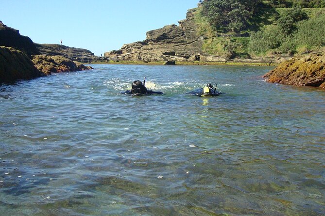 Snorkeling in Vila Franca do Campo - The Natural Reserve setting near 16th-century wrecked cannons