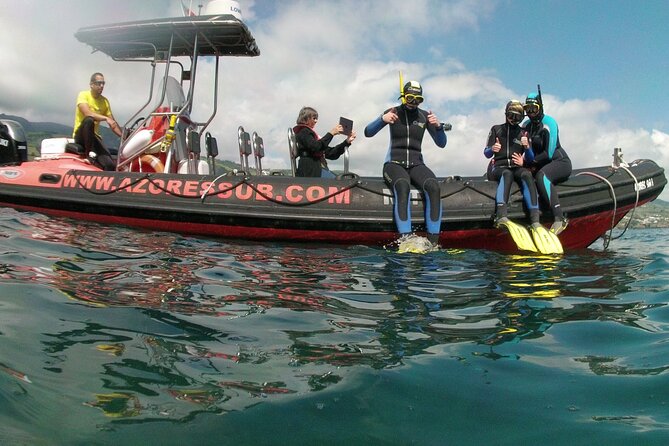 Snorkeling in Vila Franca do Campo - Marine life you may see, plus what calm weather changes