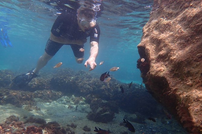 Snorkeling Tour - The 3-Hour Pacing: Where the Time Actually Goes